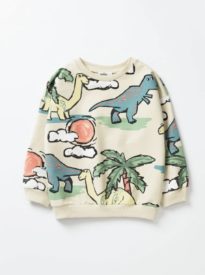 Artie Baby Boy Dinosaur Sweatshirt